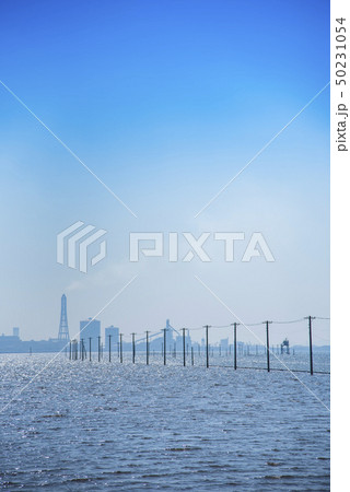 【江川海岸】 50231054