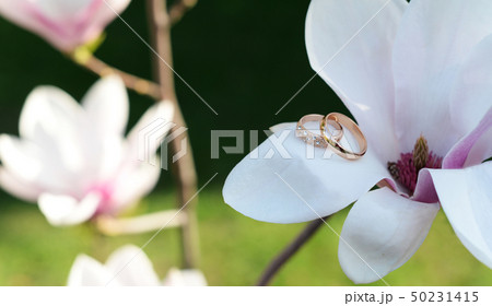 gold wedding rings for lovers  50231415