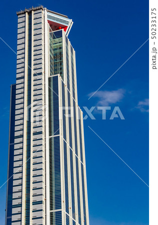 大阪府咲洲庁舎 大阪府咲洲庁舎 50233175