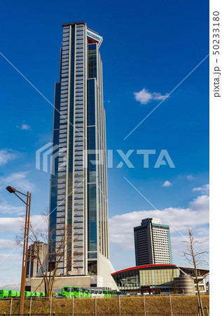 大阪府咲洲庁舎のある風景 大阪府咲洲庁舎のある風景 50233180
