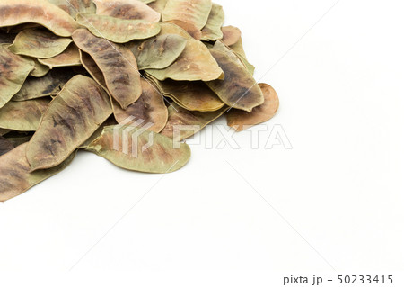 センナポッド　セナ・ポッド　センナ・アレクサンドリナ: Senna Pods 50233415