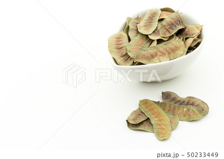 センナポッド セナ・ポッド センナ・アレクサンドリナ: Senna Pods センナポッド セナ・ポッド センナ・アレクサンドリナ: Senna Pods 50233449