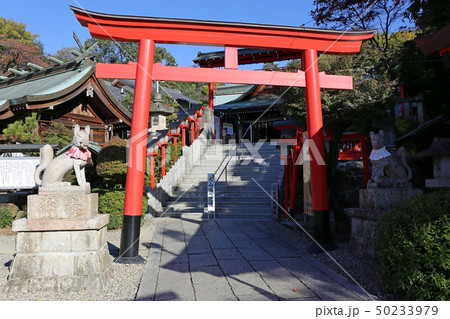 秋の三光稲荷神社 秋の三光稲荷神社 50233979