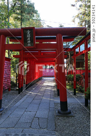 秋の三光稲荷神社 50234141