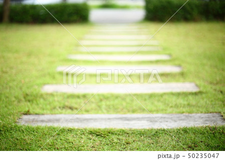 pathway pavement step on green grass front yard pathway pavement step on green grass front yard 50235047