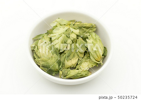 ホップ　ホップフラワー　ホップス　ホップスフラワー　ビールの原料 Hops flower whole 50235724