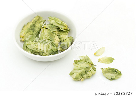 ホップ ホップフラワー ホップス ホップスフラワー ビールの原料 Hops flower whole ホップ ホップフラワー ホップス ホップスフラワー ビールの原料 Hops flower whole 50235727