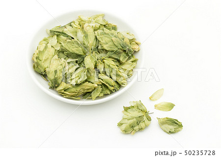 ホップ　ホップフラワー　ホップス　ホップスフラワー　ビールの原料 Hops flower whole 50235728