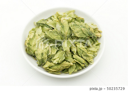 ホップ ホップフラワー ホップス ホップスフラワー ビールの原料 Hops flower whole ホップ ホップフラワー ホップス ホップスフラワー ビールの原料 Hops flower whole 50235729