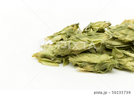 ホップ ホップフラワー ホップス ホップスフラワー ビールの原料 Hops flower whole ホップ ホップフラワー ホップス ホップスフラワー ビールの原料 Hops flower whole 50235739