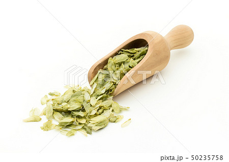 ホップ ホップフラワー ホップス ホップスフラワー ビールの原料 Hops flower whole ホップ ホップフラワー ホップス ホップスフラワー ビールの原料 Hops flower whole 50235758
