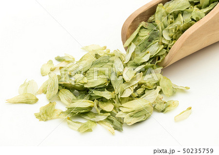 ホップ ホップフラワー ホップス ホップスフラワー ビールの原料 Hops flower whole ホップ ホップフラワー ホップス ホップスフラワー ビールの原料 Hops flower whole 50235759