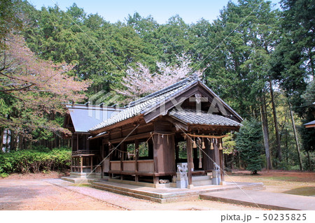 白山宮(久山町)本殿 白山宮(久山町)本殿 50235825
