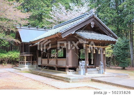 白山宮（久山町）本殿 50235826