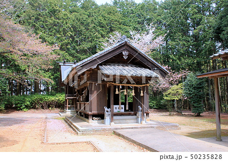 白山宮(久山町)本殿 白山宮(久山町)本殿 50235828