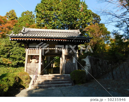 西国番外札所 花山院菩提寺 西国番外札所 花山院菩提寺 50235946