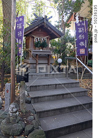 天祖神社 天祖神社 50236195