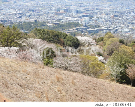 若草山 50236341