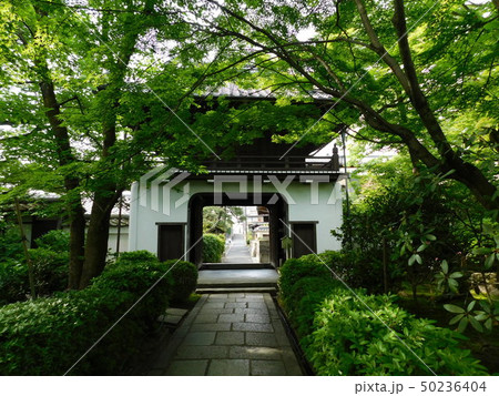西国番外札所 元慶寺 西国番外札所 元慶寺 50236404