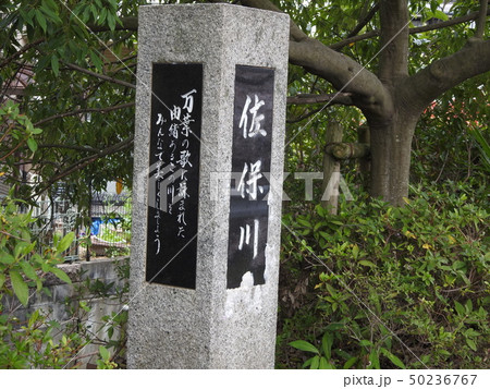 佐保川 桜 2019 佐保川 桜 2019 50236767