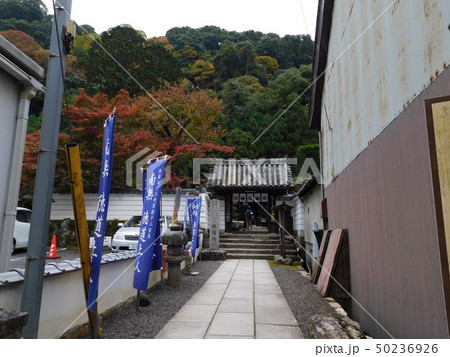 西国番外札所 法起寺 西国番外札所 法起寺 50236926