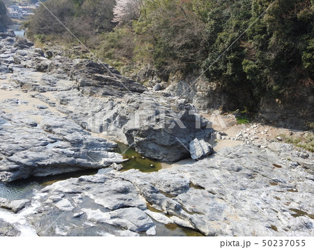 yoshino 吉野 50237055