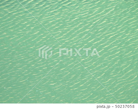 yoshino 吉野 50237058