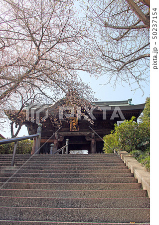 乗蓮寺 50237154