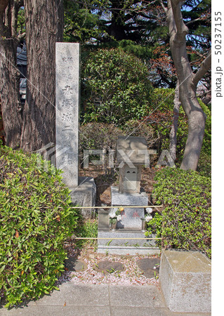 乗蓮寺 50237155