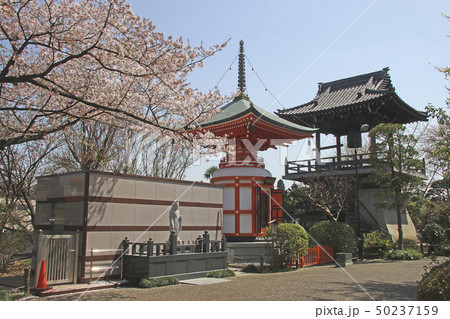 乗蓮寺 乗蓮寺 50237159