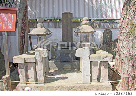 乗蓮寺 乗蓮寺 50237162