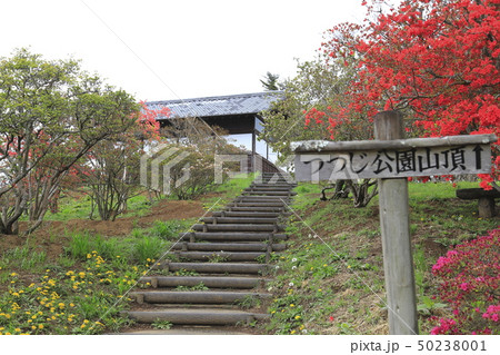 笠間つつじ公園　茨城県笠間市 50238001
