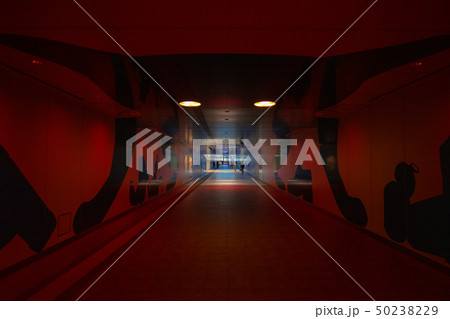 ルーセントアベニューの地下通路 50238229