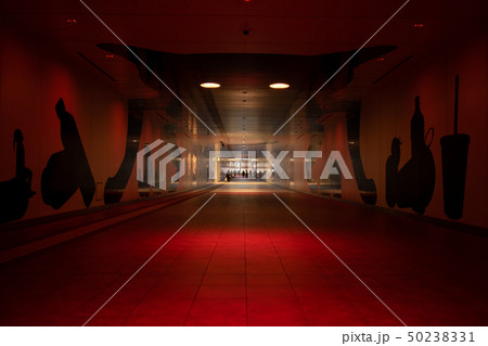 ルーセントアベニューの地下通路 50238331