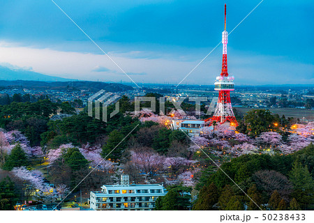 宇都宮タワー 50238433