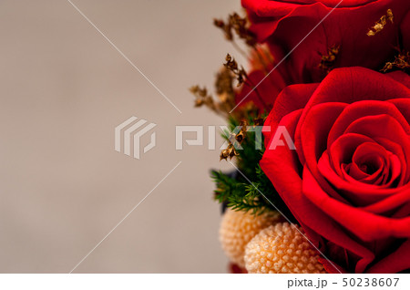 Close up of red roses with a cone Close up of red roses with a cone 50238607