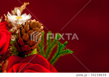 Close up of red roses with a cone 50238639