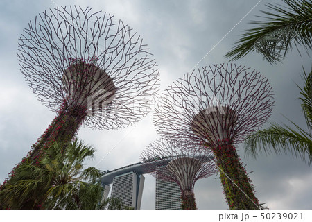 海外旅行、Singapore,Marina Bay,Gardens by the Bay 海外旅行、Singapore,Marina Bay,Gardens by the Bay 50239021