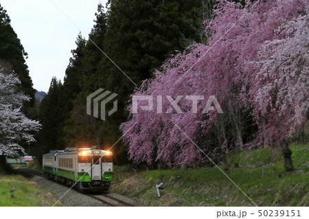 春の只見線 50239151