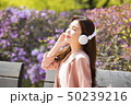 人 人間 韓国人 50239216