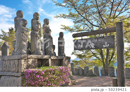 【白滝山 五百羅漢】 広島県尾道市因島重井町 【白滝山 五百羅漢】 広島県尾道市因島重井町 50239421