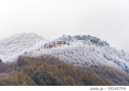 春の降雪　福島猪苗代 50240709