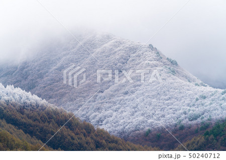 春の降雪 福島猪苗代 春の降雪 福島猪苗代 50240712