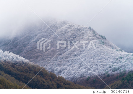 春の降雪　福島猪苗代 50240713