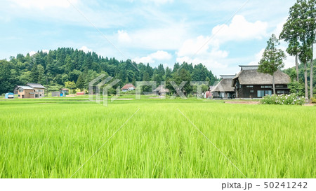 夏の農村風景 (荻ノ島環状集落) 夏の農村風景 (荻ノ島環状集落) 50241242