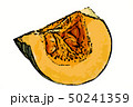 かぼちゃ 50241359