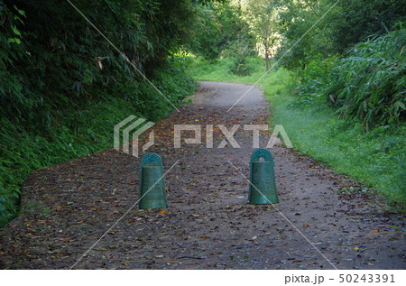 銅鐸のある道 銅鐸のある道 50243391