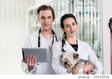 Male and female veterinarian holding digital tablet 50243638