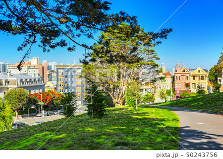 Panoramic view of the San Francisco Painted ladies Panoramic view of the San Francisco Painted ladies 50243756