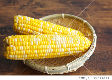 夏の食べ物 とうもろこし 夏の食べ物 とうもろこし 50244813